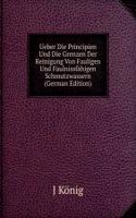 Ueber Die Principien Und Die Grenzen Der Reinigung Von Fauligen Und Faulnissfahigen Schmutzwassern (German Edition)