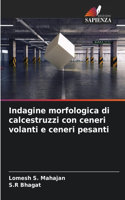 Indagine morfologica di calcestruzzi con ceneri volanti e ceneri pesanti