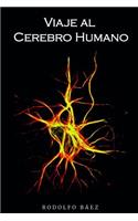 Viaje Al Cerebro Humano