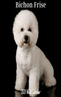 Bichon Frise 2021 Wall Calendar: Bichon Frise 2021 Calendar, 18 Months.