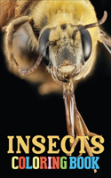 Insect Coloring Book
