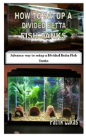 How to Satup a Divided Betta Fish Tanks