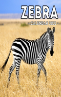 Zebra Calendar 2021