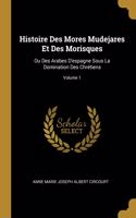 Histoire Des Mores Mudejares Et Des Morisques