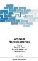 Granular Nanoelectronics