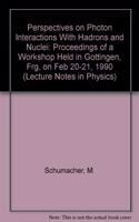 Perspectives on Photon Interactions With Hadrons and Nuclei: Proceedings of a Workshop Held in Gottingen, Frg, on Feb 20-21, 1990 (Lecture Notes in Physics)