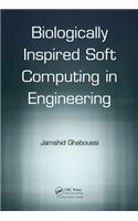 Soft Computing in Engineering