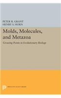 Molds, Molecules, and Metazoa