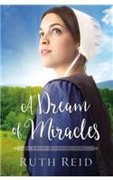 Dream of Miracles