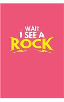 Wait I See A Rock