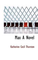 Max a Novel