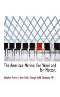 The American Merino