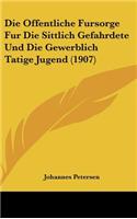 Die Offentliche Fursorge Fur Die Sittlich Gefahrdete Und Die Gewerblich Tatige Jugend (1907)