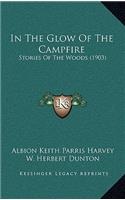 In The Glow Of The Campfire: Stories Of The Woods (1903)