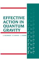 Effective Action in Quantum Gravity