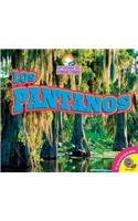 Pantanos
