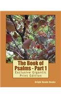The Book of Psalms - Part 1