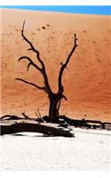 Tree and Dune in Namibia Africa Journal