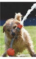 Dogs Just Want to Have Fun Journal