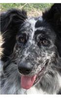 So Sweet Black and White German Sheepdog Pet Journal