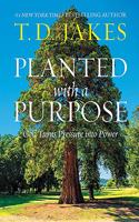 Planted with a Purpose: God Turns Pressure into Power