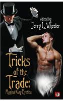 Tricks of the Trade: Magical Gay Erotica