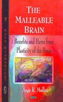 Malleable Brain