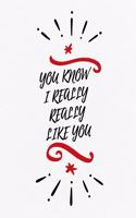 Valentine's Day Notebook: You Know I Really Really Like You, Funny Valentines Gift Idea for Girlfriend or Boyfriend