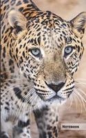 Jaguar Notebook