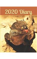 2020 Diary
