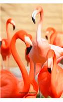 Flamingos Notebook