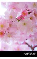 Notebook: Japonés Cerezos, Flores, Primavera, Papel Pintado Cuaderno / Diario / Libro de escritura / Notas - 6 x 9 pulgadas (15.24 x 22.86 cm), 150 páginas, s