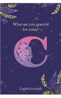 Gratitude Journal for Writers