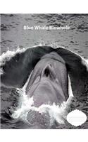 Blue Whale Blowhole College Ruled Line Paper Composition Book: Whale Fans, College students, Middle School, Adult Journals, School supplies