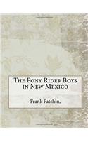 The Pony Rider Boys in New Mexico