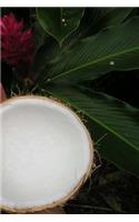 Coconuts Notebook