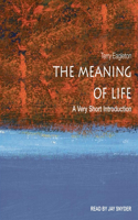 Meaning of Life Lib/E