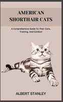 American Shorthair Cats: A Comprehensive Guide To Their Care, Training, And Conduct