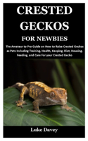 Crested Geckos for Newbies