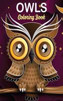 Owls Coloring Book