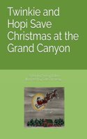 Twinkie and Hopi Save Christmas at the Grand Canyon