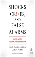 Shocks, Crises, and False Alarms