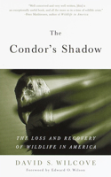 Condor's Shadow