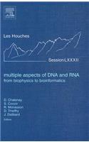 Multiple Aspects of DNA and RNA: from Biophysics to Bioinformatics