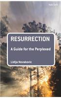 Resurrection: A Guide for the Perplexed