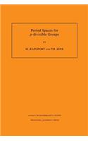 Period Spaces for p-divisible Groups