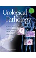 Urological Pathology