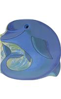 Pocket Dolphin