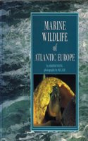 Marine Wildlife of Atlantic Europe