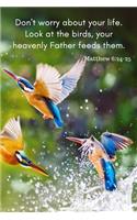 Don't Worry about your life. Look at the birds, your heavenly Father feeds them. Matthew 6